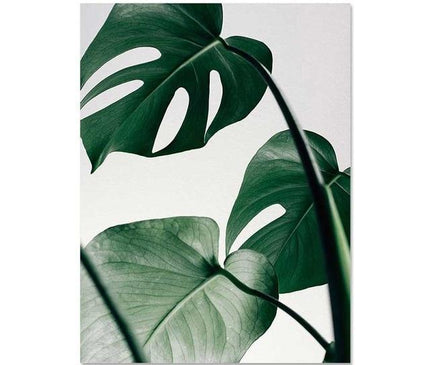 Kezaro Positive Natur Leinwand print on 50x70cm canvas without frame, featuring natural-themed artwork for home decor.