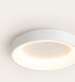 Ø 30 cm / White / Dimmable