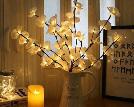 Orchideen Zweig Licht