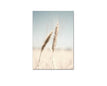 50x70cm Unrahmt / Bild B