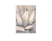 40x60cm Unrahmt / Bild C