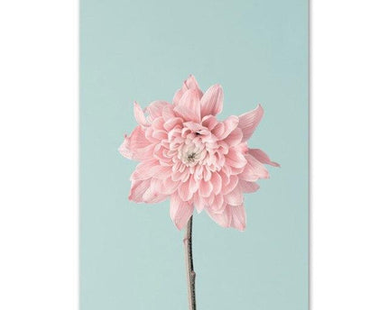 Blossom Canvas